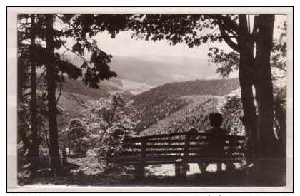 Ernstthal Am Rennsteig , Blick Von Der Triniusbank - Lauscha