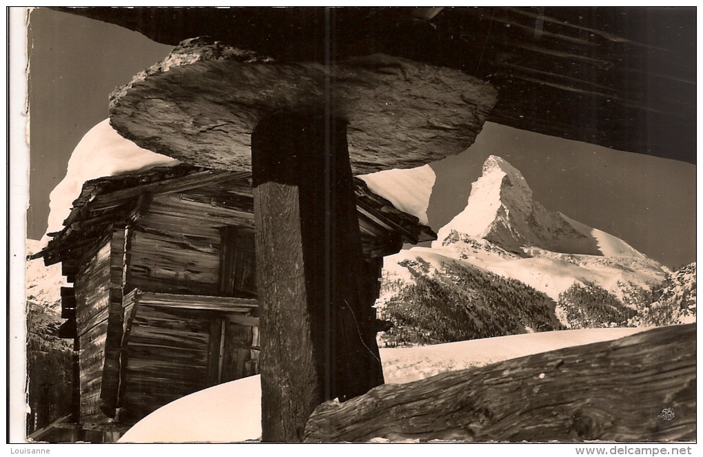 13 / 5 / 323  -IN  WINKELMATTEN  BEI  ZERMATT ,  MATTERHORN  -CPSM - Matten Bei Interlaken