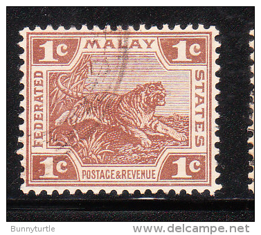 Federated Malay States 1906-22 Tiger 1c Used - Federated Malay States