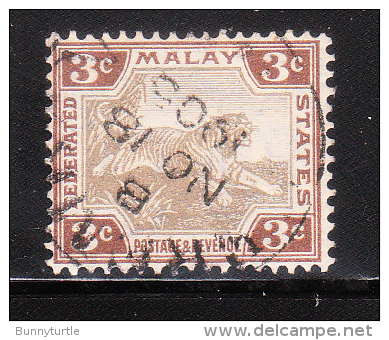 Federated Malay States 1904-10 Tiger 3c Used - Federated Malay States