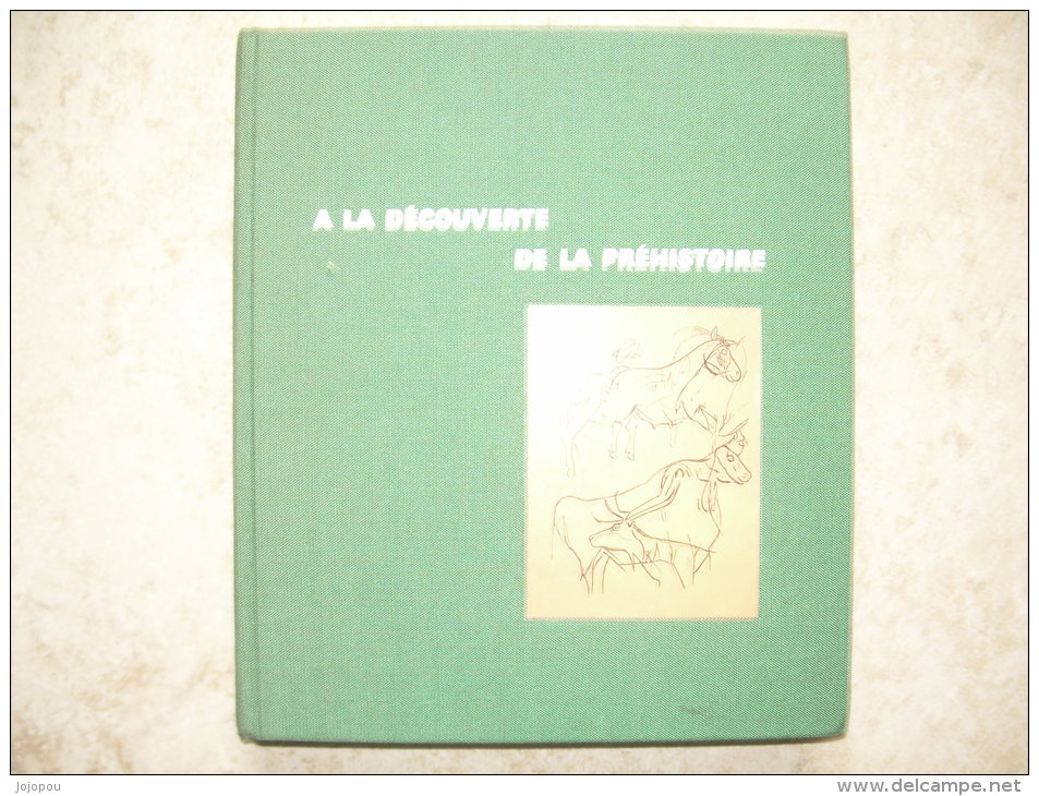 Anne White - A La Découverte De La Préhistoire -  Couverture Rigide - Historique