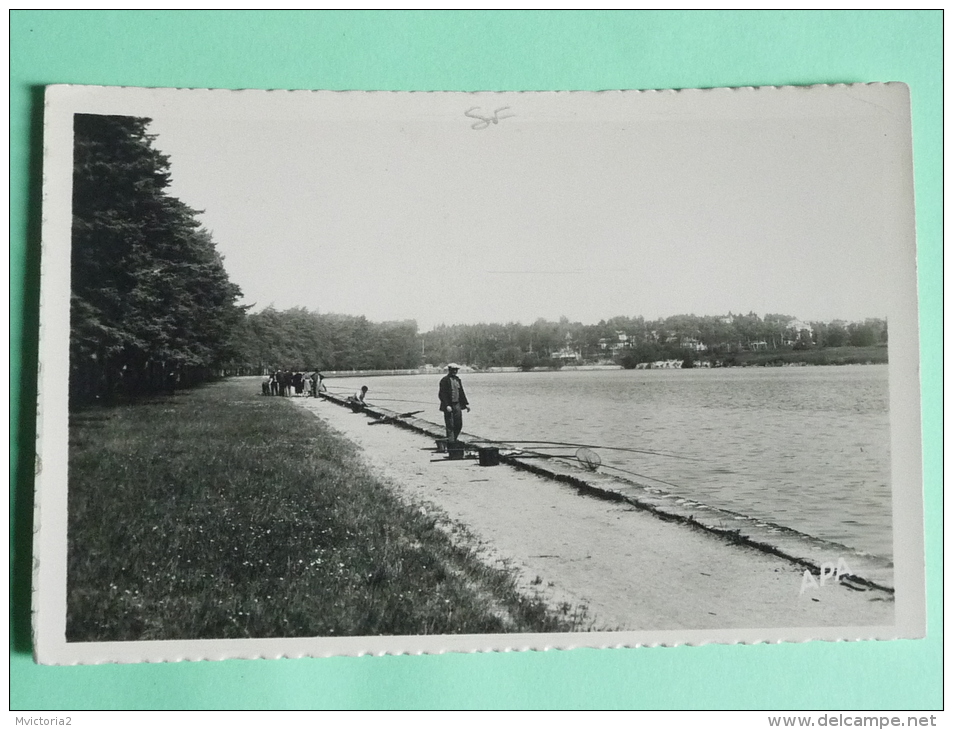 Bassin De ST FERREOL , Le Coin Des Pecheurs - Sonstige & Ohne Zuordnung