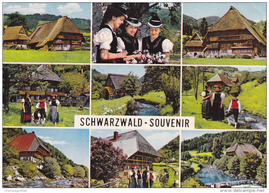 ALLEMAGNE, BADE-WURTEMBERG, RASTATT,  SCHWARZWALD SOUVENIR - Rastatt