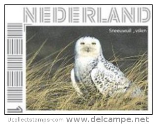 Nederland  2013   Uilen 19 Sneewuil   Postfris/mnh/neuf - Ungebraucht