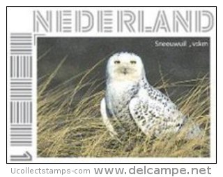 Nederland  2013   Uilen 19 Sneewuil   Postfris/mnh/neuf - Unused Stamps