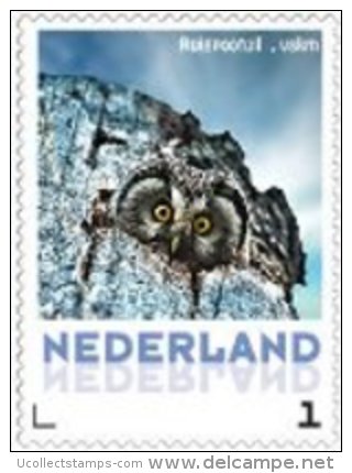 Nederland  2013   Uilen 18 Ruigpootuil  Postfris/mnh/neuf - Unused Stamps