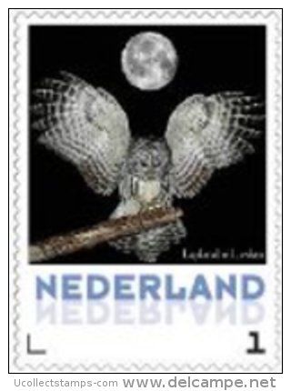 Nederland  2013   Uilen 16  Laplanduil Bij Maan   Postfris/mnh/neuf - Neufs