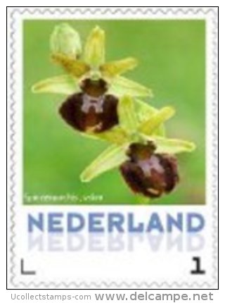 Nederland  2013   Orchideen 4 Spinnenorchis Postfris/mnh/neuf - Unused Stamps
