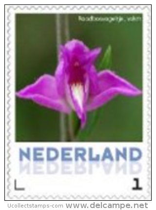 Nederland  2013   Orchidee 3  Roodbosvogeltje Postfris/mnh/neuf - Unused Stamps