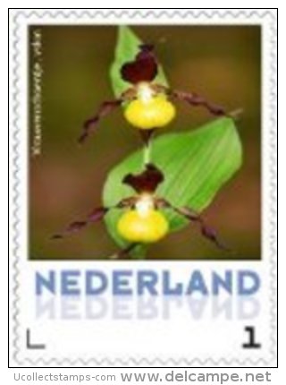 Nederland  2013   Orchideen 2   Vrouwenschoentje Postfris/mnh/neuf - Neufs