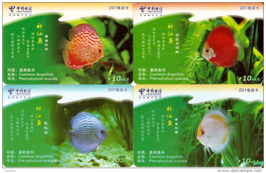 SERIE COMPLETA DE 4 TARJETAS DE CHINA DE PECES (PEZ-FISH) - Peces