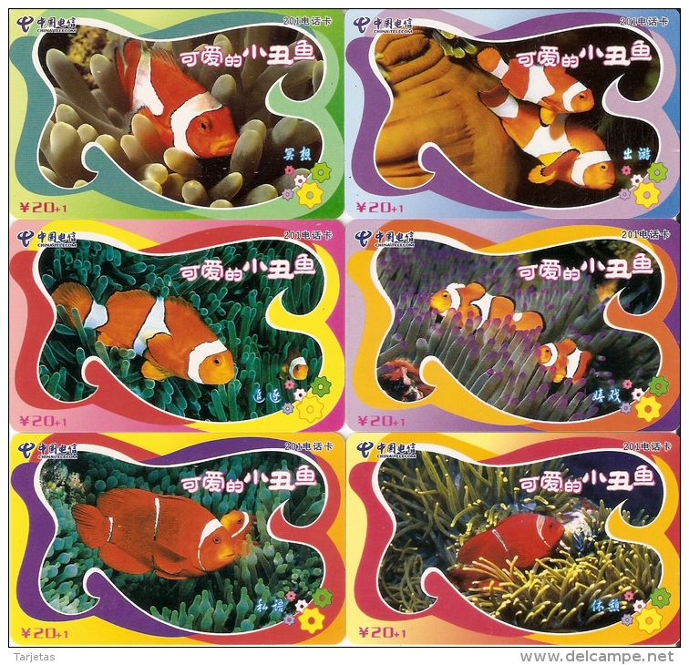 SERIE COMPLETA DE 6 TARJETAS DE CHINA DE PECES PAYASO  (PEZ-FISH) - Peces