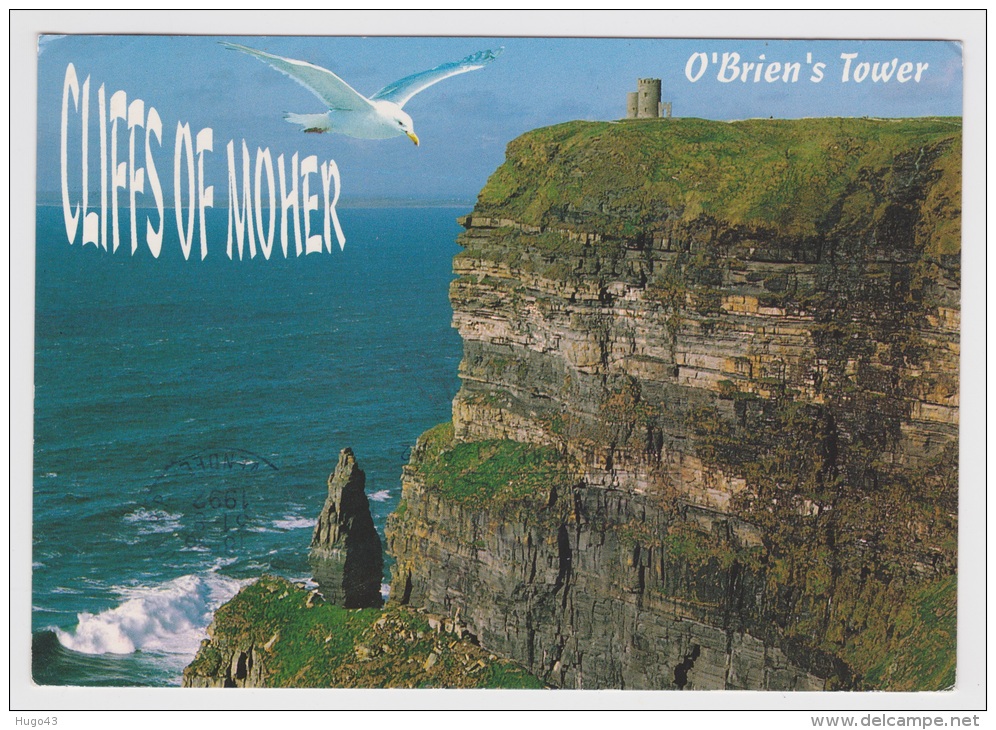 CLIFFS OF MOHER - CLARE - Clare