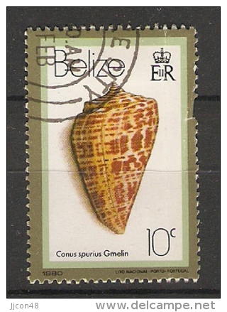 Belize  1980  Shells  10c  (o) - Belize (1973-...)