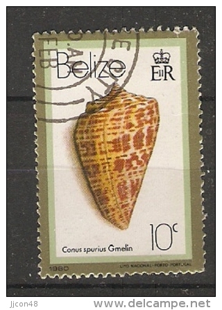Belize  1980  Shells  10c  (o) - Belize (1973-...)