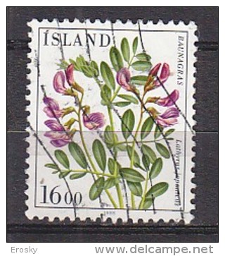 Q1137 - ISLANDE ICELAND Yv N°583 - Used Stamps