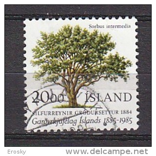 Q1138 - ISLANDE ICELAND Yv N°588 - Used Stamps
