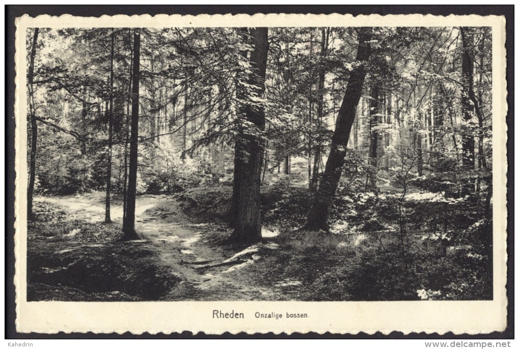 Rheden 1953, Onzalige Bossen, Gelopen, Uitgave: D. Berger, Paviljoen "DE POSBANK", JosPe Arnhem - Rheden