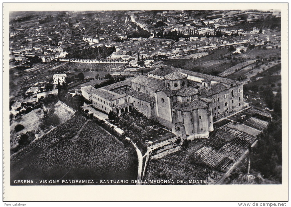 CESENA -VISIONE PANORAMICA-SANTUARIO DELLA  MADONNA  DEL MONTE  - FG - Cesena