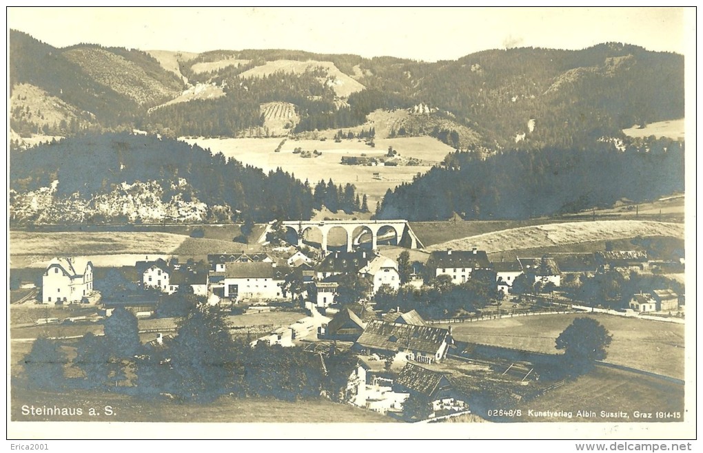 Steinhaus Am Semmering.  Vue D´ensemble Et Acqueduc Du Chemin De Fer, Cpa Photo. - Steinhaus Am Semmering