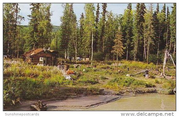 Alaska Fairbanks Homesteader's Cabin On Tanana River - Fairbanks