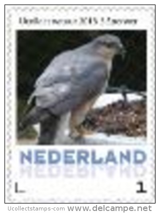 Nederland  2013-3  Ucollect  Sperwer  Vogel -bird - Oiseau Postfris/mnh/neuf - Neufs