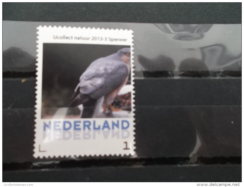 Nederland  2013-3  Ucollect  Sperwer  Vogel -bird - Oiseau  MISPRINT !!! Postfris/mnh/neuf - Unused Stamps