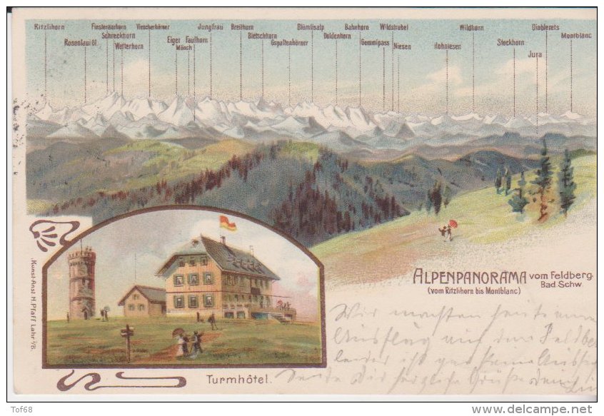 Alpenpanorama Vom Feldberg 1905 - Feldberg