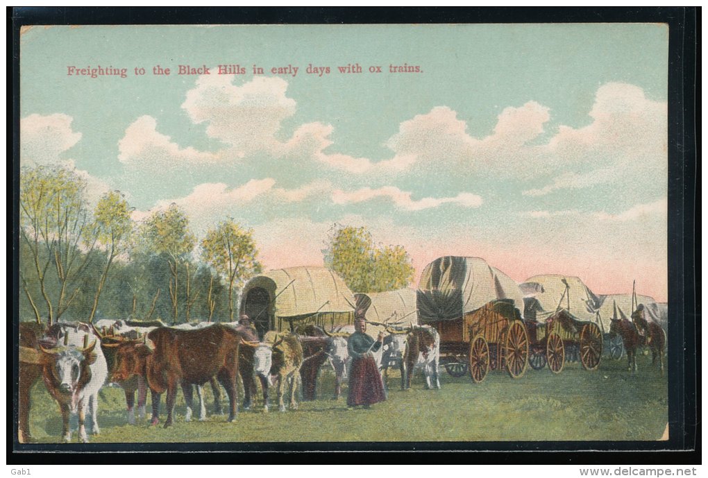 Amerique --- Freighting To The Black Hills In Carly Days With Ox Trains - Other & Unclassified