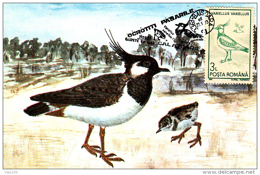 BIRDS,OISEAUX, VANELLUS VANELLUS, CM, MAXICARD, CARTES MAXIMUM, 1993, ROMANIA - Marine Web-footed Birds