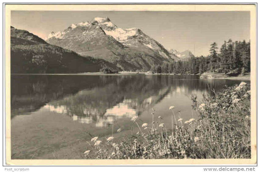 Suisse - Sils Im Engadin - Blick Von Chasté Auf Piz Della MArgna - Sils Im Engadin/Segl