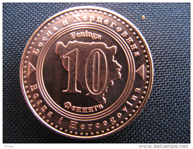 Coin 10 Feninga Bosnia And Hercegovina 2008 Unc - Bosnia Y Herzegovina