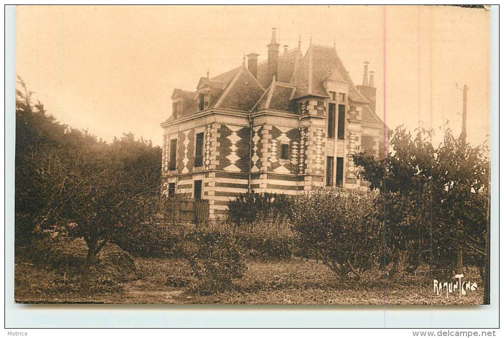 ANGOULINS SUR MER  - Oeuvre Des Pupilles De L´Ecole Publique De Seine Et Oise "La Sapinière", Le  Château Vue Du Potager - Angoulins