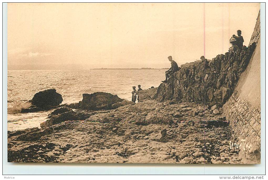 ANGOULINS SUR MER  - Oeuvre Des Pupilles De L´Ecole Publique De Seine Et Oise "La Sapinière", La Pointe Du Ché. - Angoulins