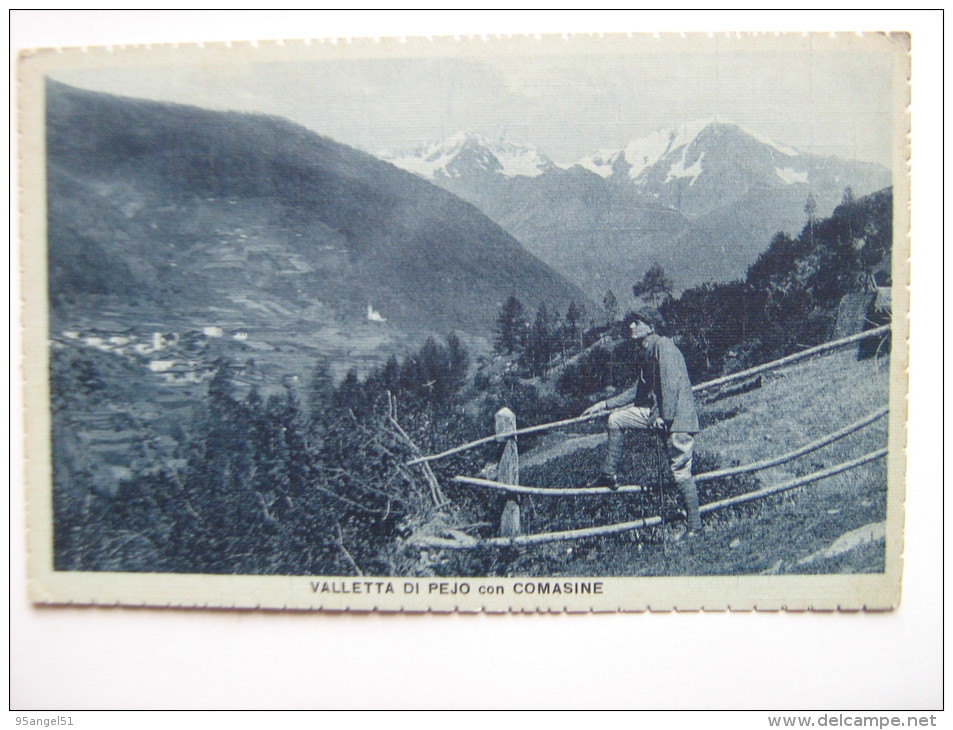 VALLETTA DI PEJO CON COMASINE TRENTO - 1928 - Trento