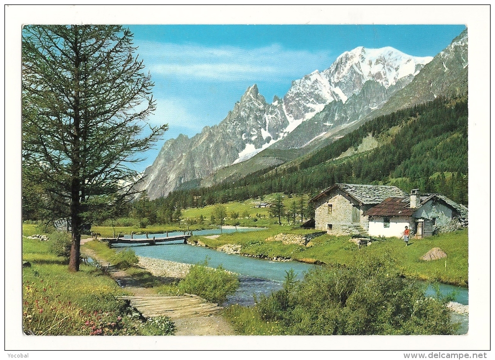 Cp, Italie, Courmayeur - Planpincieux, Le Mont Blanc Vu Par Le Val Ferret - Altri & Non Classificati