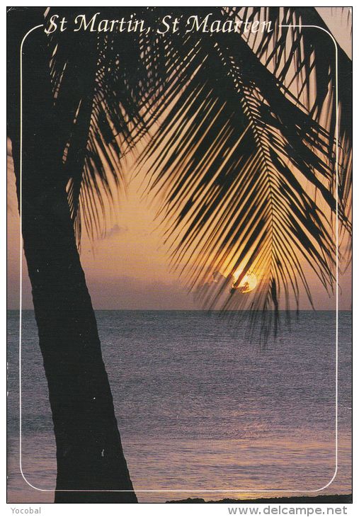 Cp , GUADELOUPE , SAINT MARTIN , Coucher De Soleil Sur Les Caraïbes - Saint Martin