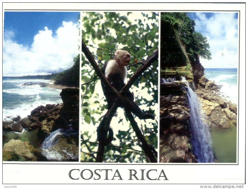 (897) Costa Rica With Monkey - Costa Rica