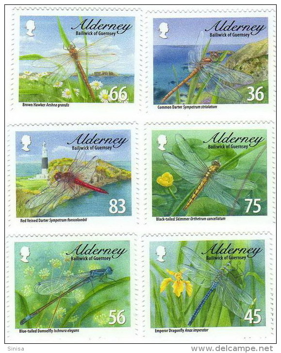 Alderney / Bugs / Insects / Dragonflies - Alderney