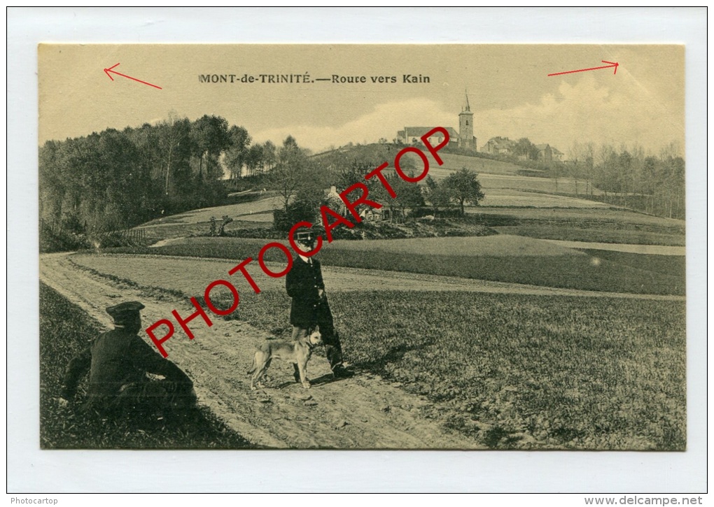 MONT DE TRINITE-Route Vers KAIN-Gendarme-Chien-Periode GUERRE 14-18-1 WK-BELGIEN-BELGIQUE- - Tournai