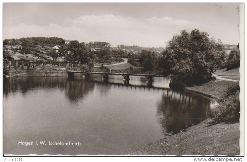 Hagen In Westfalen Ischelandteich Brücke Sw 23.10.1959 - Hagen