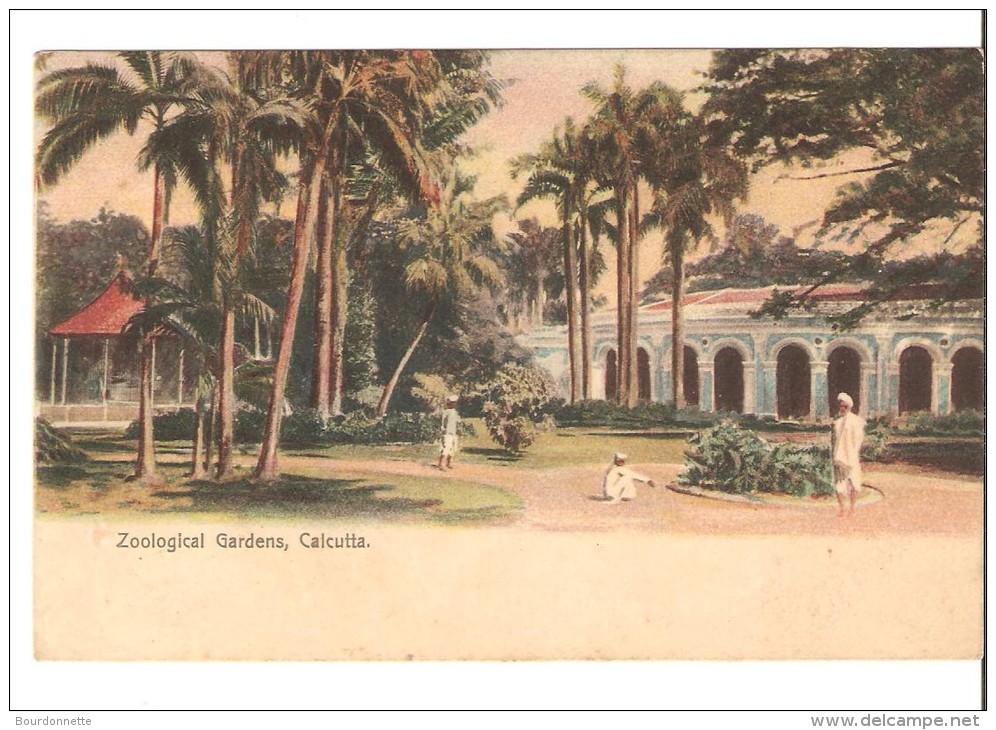 Zoologicalgardens,calcutt A - Cambodge