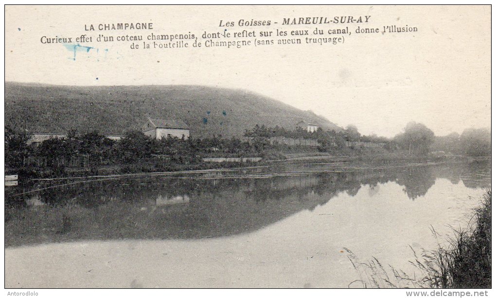 MAREUIL SUR AY   Les Goisses - Mareuil-sur-Ay