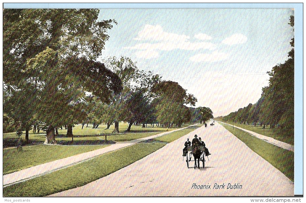 Southern Ireland Postcard - Phoenix Park, Dublin    BH1102 - Dublin