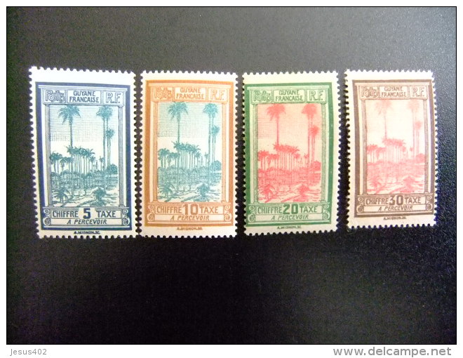 GUYANE  GUYANA  Año 1929   Place Des Palmistes  Yvert Nº  Tax  13 / 16 * MH Incompleta - Neufs