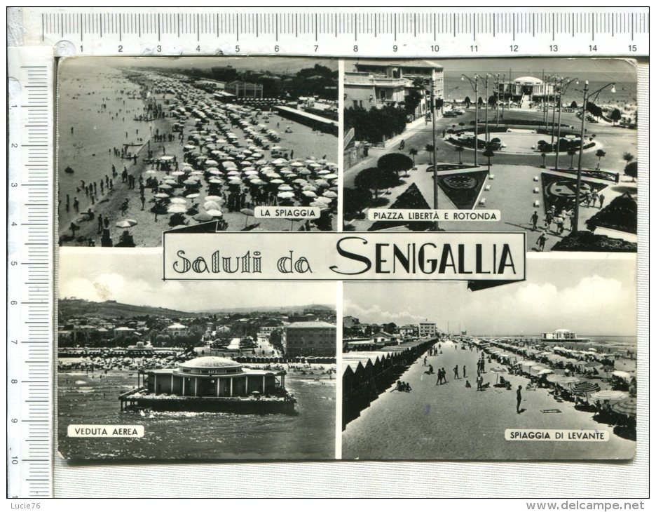 SALUTI  Da  SENIGALLIA  -  4 Vues  : La Spiaggia - Piazza Liberta E Rotonda - Veduta Aera -  Spiaggia Di Levante - Senigallia
