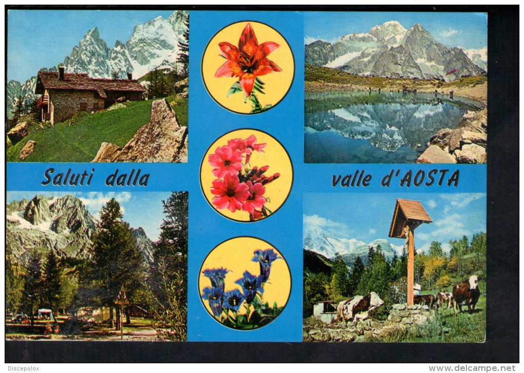 H1387 Saluti Dalla Valle D' Aosta - Fiori, Fleurs, Flowers - Vda 10 Ediz. Enrico - Serie " Valle D' Aoste " - Altri & Non Classificati