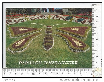 CPM, AVRANCHES: Le Papillon, Décoration Florale Au Jardin Des Plantes - Avranches