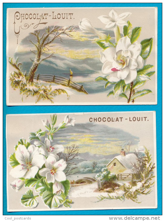 PUB. CHROMO, CHOCOLAT LOUIT, NEIGE, FLEURS, BE - Louit