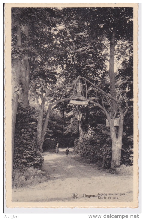 Tieghem - "Ingang Van Het Park . - Entrée Du Parc." - Anzegem